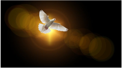 Finding Hope in Times of Darkness: A Christian Perspective